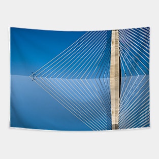 Zakim (reflected) Tapestry