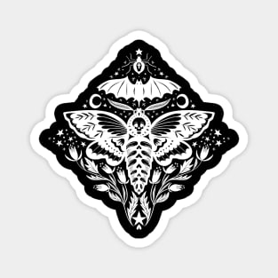 Skull Moth Damask white Magnet