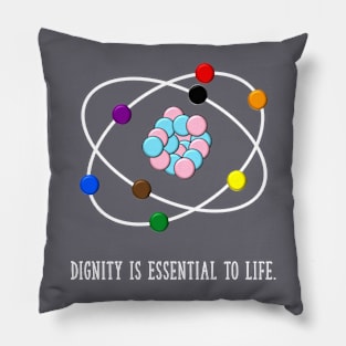 Dignity Oxygen Pillow