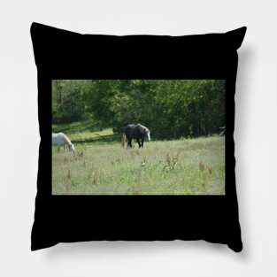 Wild Horse Pillow