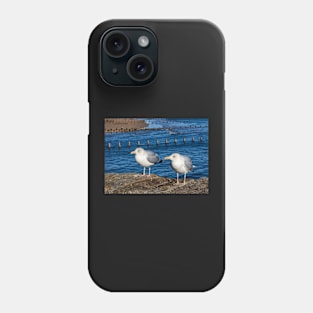 Seagulls Phone Case