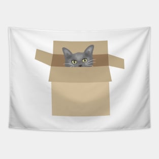 Cat in the box Tapestry