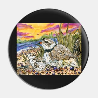 Piping Plovers and Chicks Pin