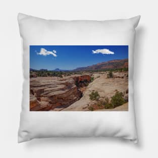 850_7100 Pillow