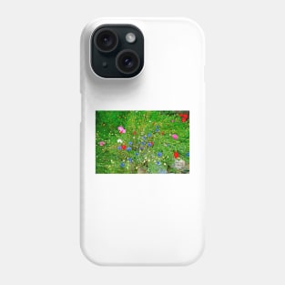 Glen Haven Spray Phone Case