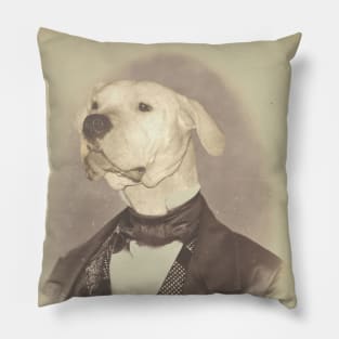 Gentleman Dogo Argentino Pillow