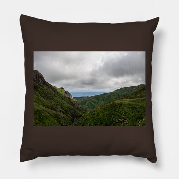 Scenic Malibu vista in springtime Pillow by AlexK