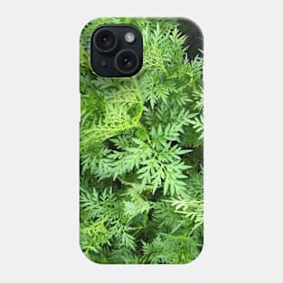 Grass (Yellow cosmos) texture background Phone Case