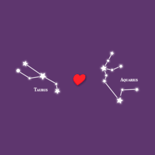 Taurus Loves Aquarius T-Shirt