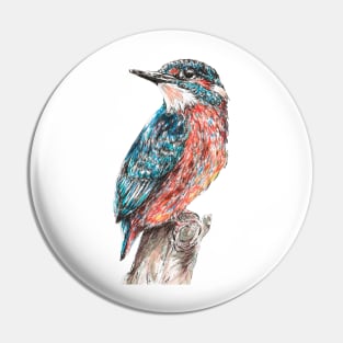 Kingfisher Pin