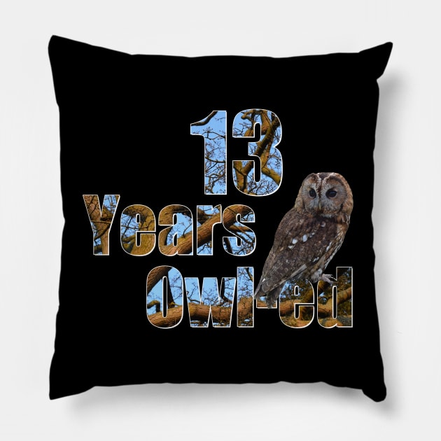 13 years owl-ed (13 years old) teen 13th birthday Pillow by ownedandloved