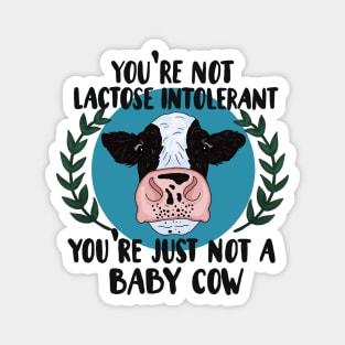 Your not lactose intolerant, your just not a baby cow Magnet