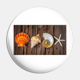 Four Lovely Shells And White Starfish Pin