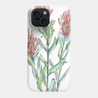 Indian paintbrush wild flowers Phone Case