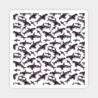 Watercolor Orca Whale Pod | Pattern Magnet