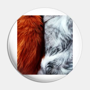 ginger cats fluffy fur Pin