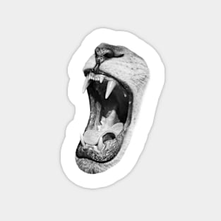 Cut out of an image of a lion roaring Magnet