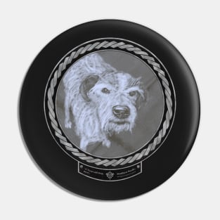 17 Year Old Dog (frame silver celtic rope black) Pin