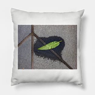 Peace on Earth Pillow