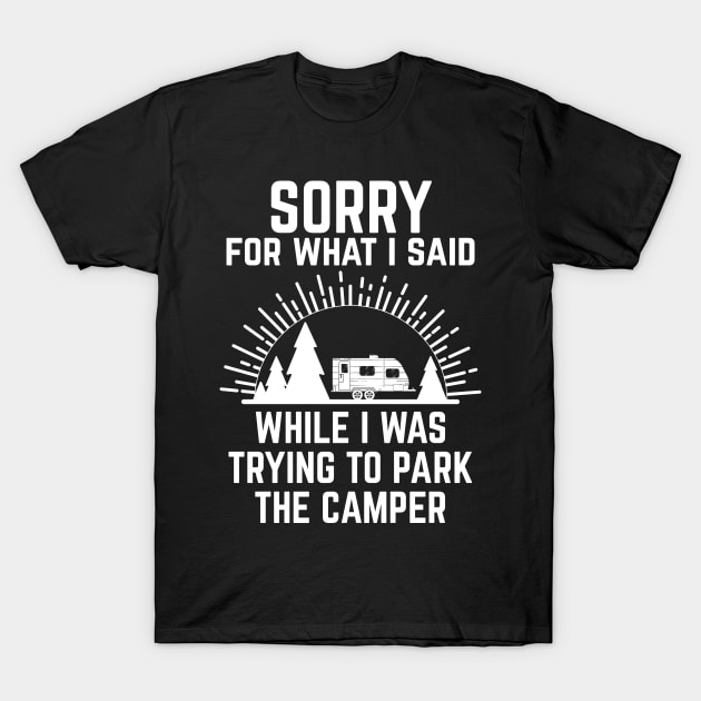 Camping RV Caravan Motorhome Just Here For The Hookups Funny T