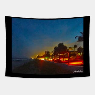 Night Sky at the Beach Tapestry