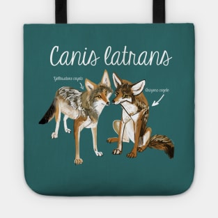 Coyote in love Tote