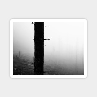 Misty forest black and white Magnet