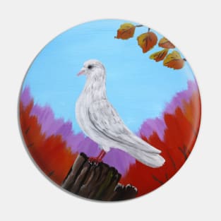 White pigeon in the autumn Pin