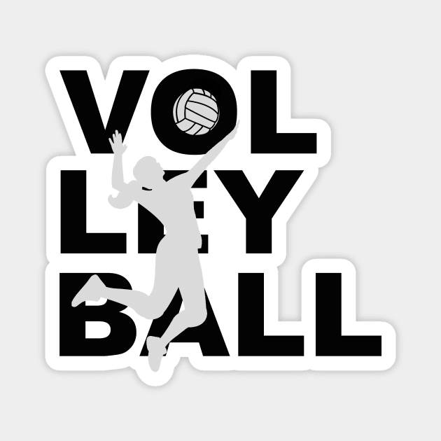 volleyball Magnet by heyitsad