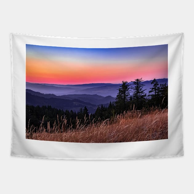 Sunset over Kneeland landscape Tapestry by blossomcophoto