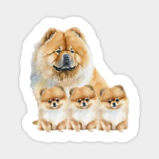 Fluffy Tibetan Mastiff, This Dad Loves His Triplets Magnet