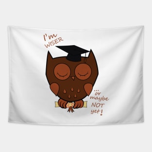 Wiser Sleeping Owl Tapestry