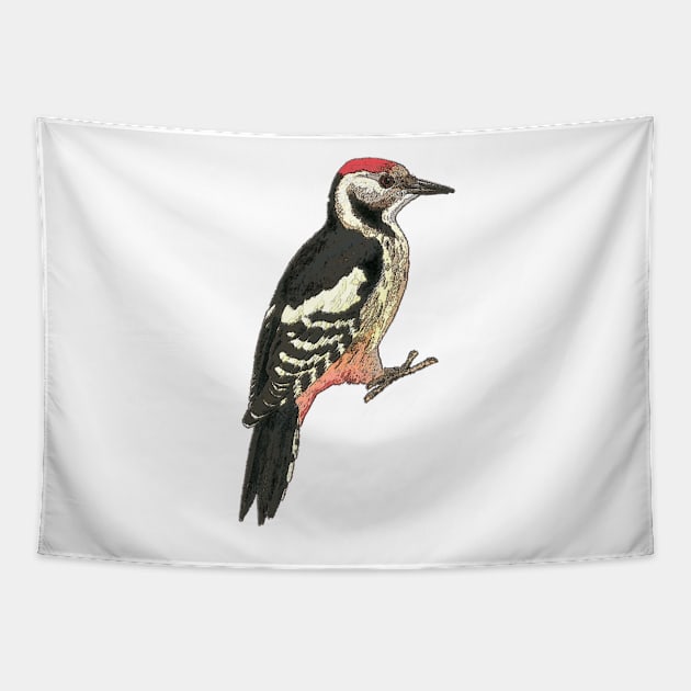 Middle spotted Woodpecker Tapestry by bywhacky