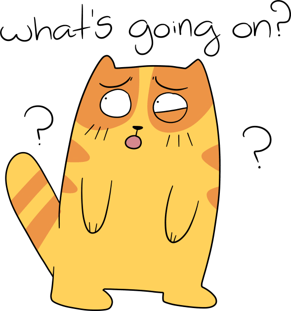 What's Going On? Orange Tabby Cat Kids T-Shirt by saradaboru