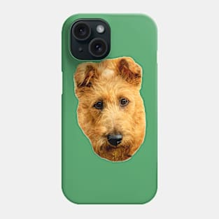 Irish Terrier 'when Irish eyes are smiling' Phone Case