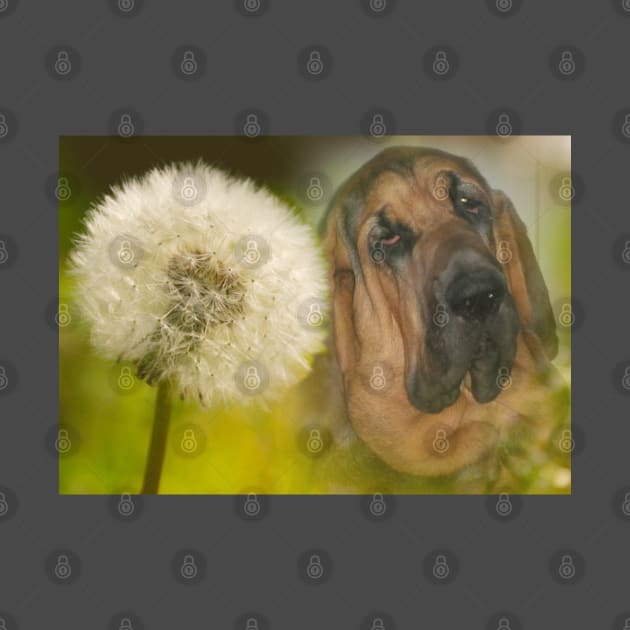Bloodhound Dog Dandelion by nounejm
