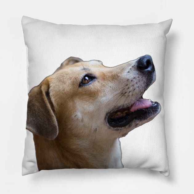 i love dog Pillow by rickylabellevie