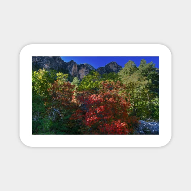 Guadalupe Mountains National Park McKitrick Canyon Magnet by StonePics