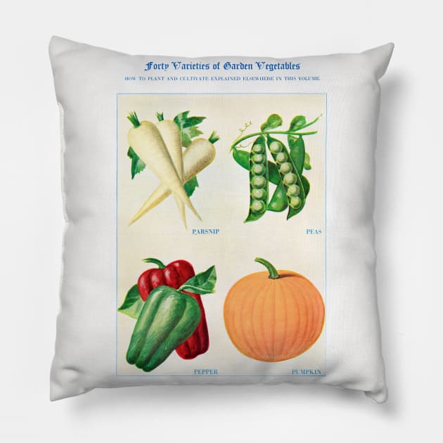 Garden Vegetable watercolor illustration (1915) Pillow by WAITE-SMITH VINTAGE ART