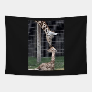 Giraffe and calf Tapestry