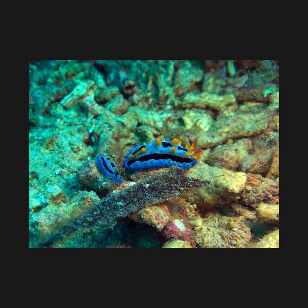 Purple Nudibranch by likbatonboot