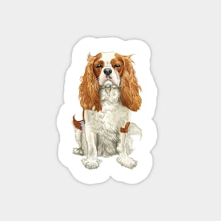 Cavalier King Charles Spaniel - Watercolour Blenheim Magnet