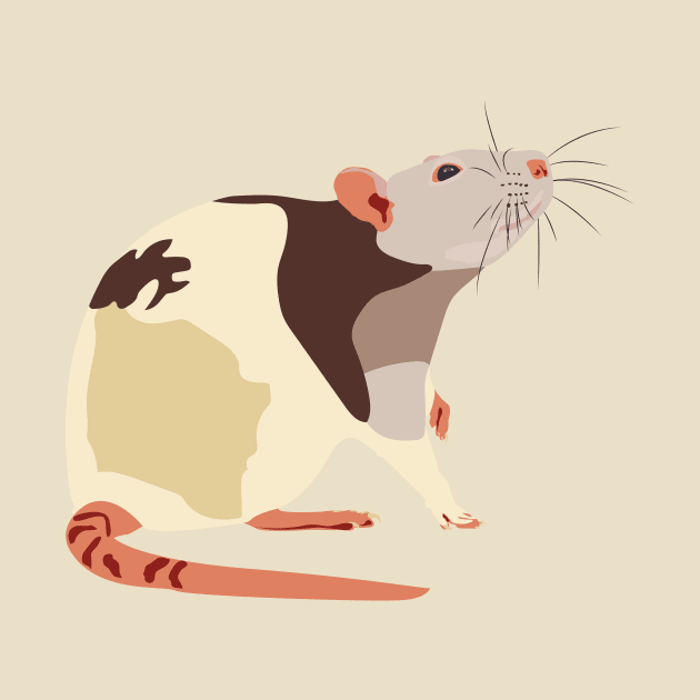 Fancy Rat by DKrumpp