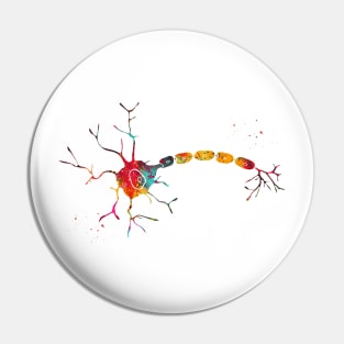 Anatomy of a typical human neuron Pin