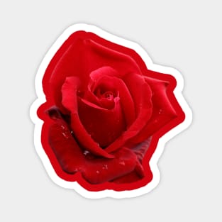 In the Heart of a Red Rose Magnet