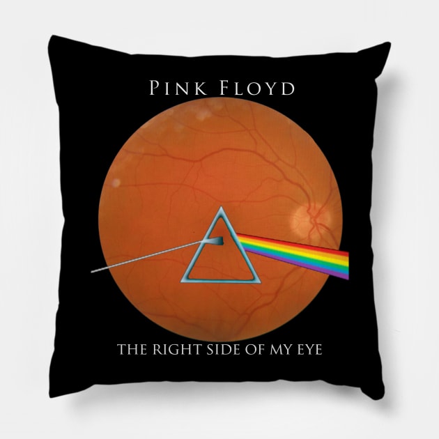 Pink Floyd Pillow by BarrySullivan