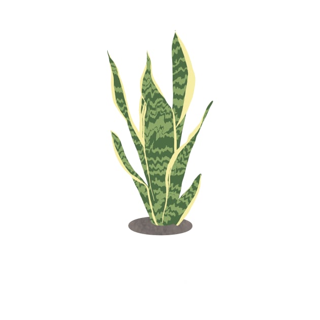 Snake Plant Illustration by emilystp23