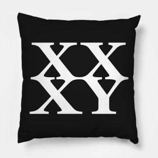 XY Chromosomes Pillow