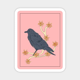 American Crow Magnet