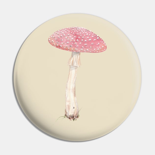 Amanita muacaria (fly Agaric mushroom) Pin by JJacobs